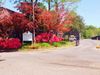 2500 Mount Moriah Rd photo